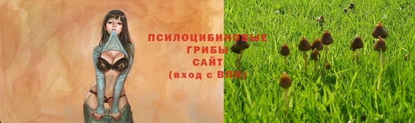 эйфоретик Алзамай