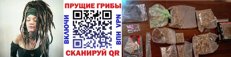 Галлюциногенные грибы Magic Shrooms  Купить где  Бодайбо 