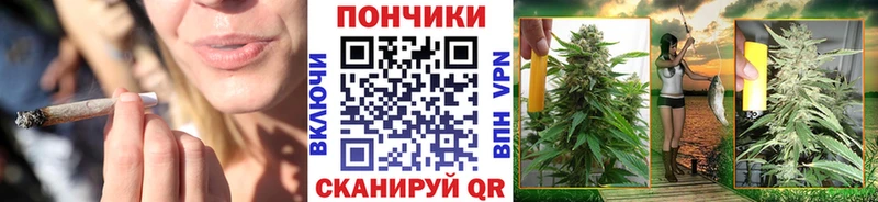 Купить где  Бодайбо  Марихуана семена 